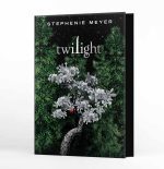 twilight