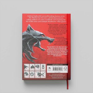 کتاب The Last Wish جلد سخت
